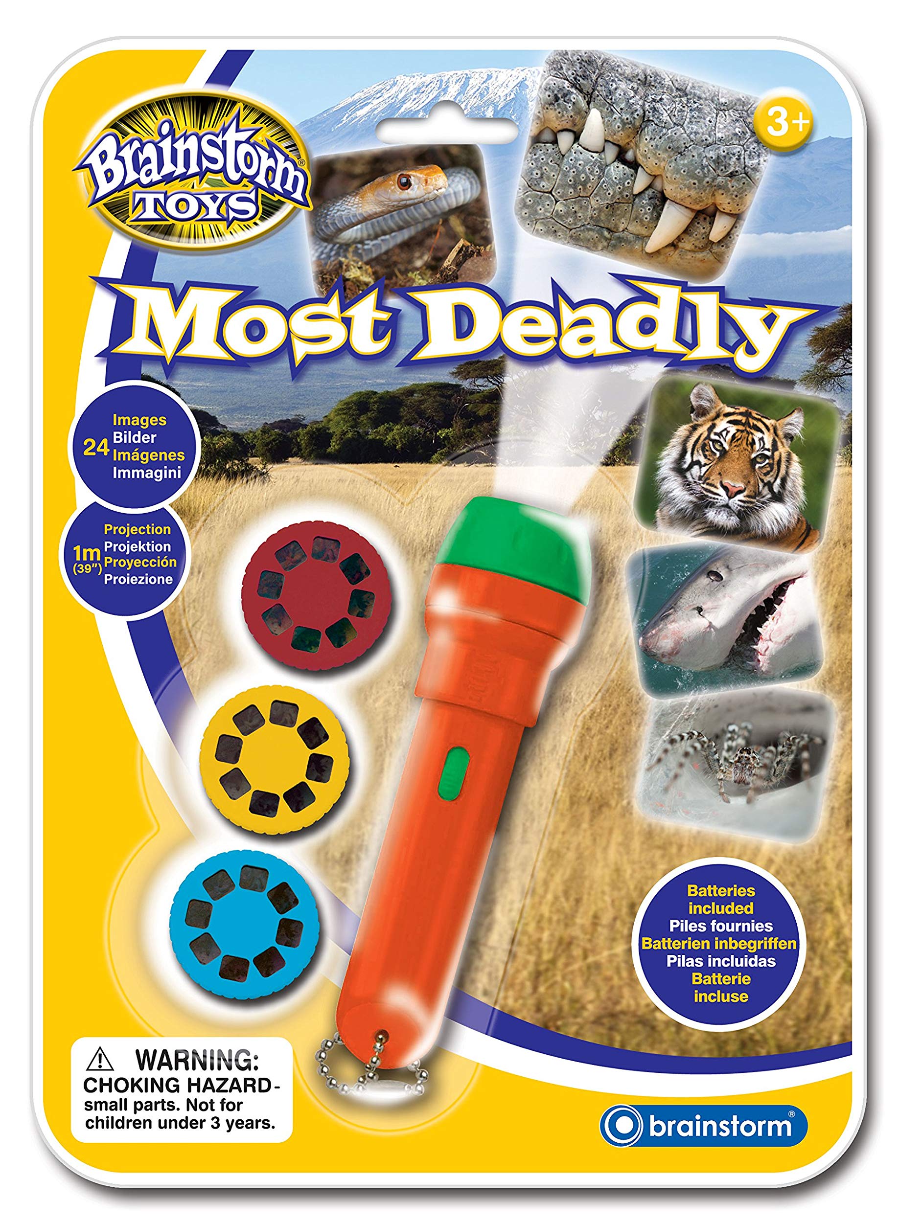 Brainstorm Deadly Torch And Projector