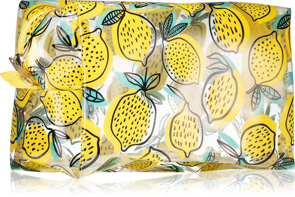 BrushArt Accessories Transparent cosmetic bag transparent cosmetic bag