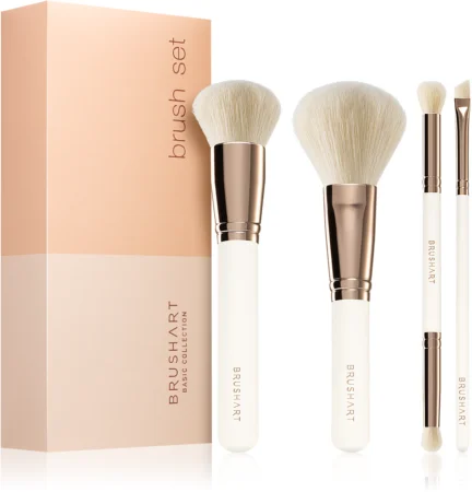 BrushArt Basic Brush set Brush set