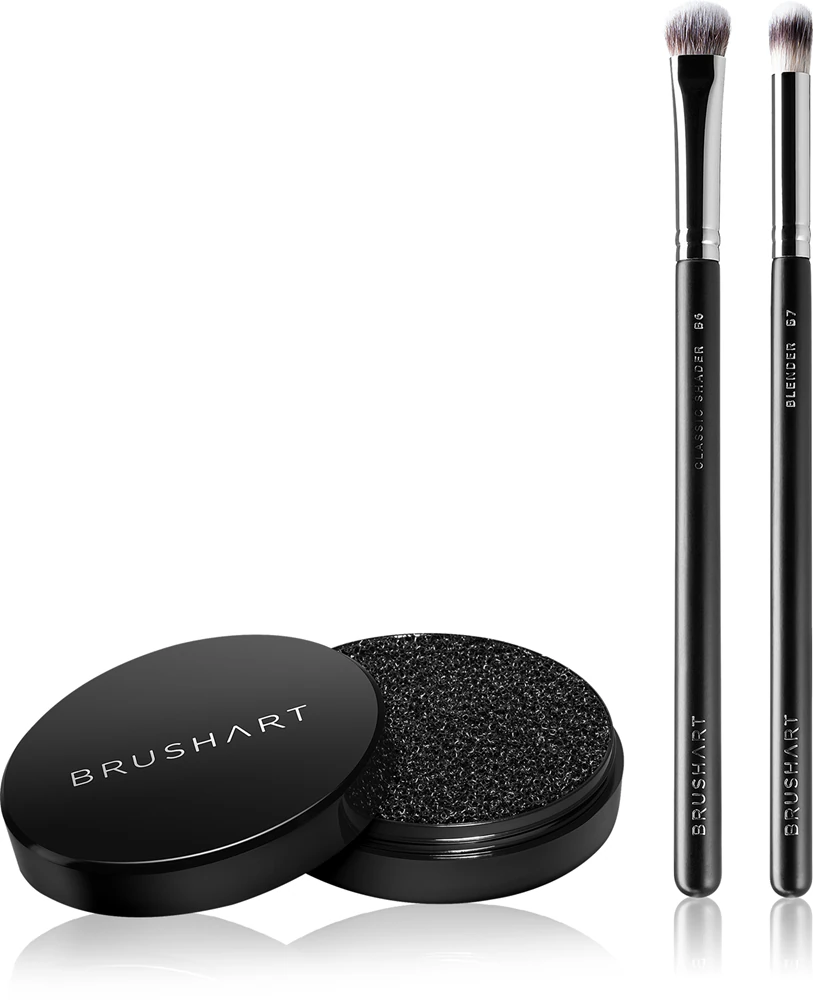 BrushArt Professional Eyeshadow brush set with brush cleaning sponge eye makeup brush set