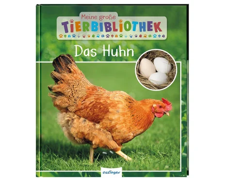 Book: The Chicken
