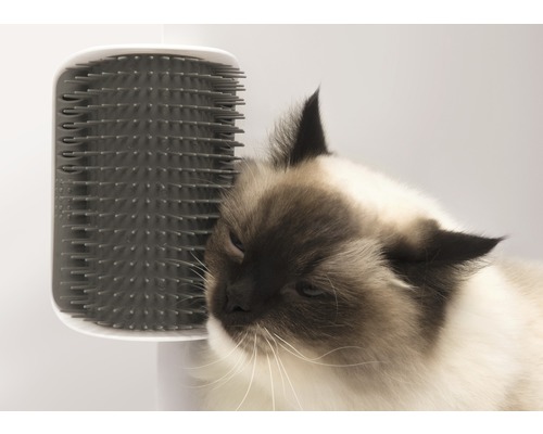 Catit Cat it Senses 2.0 Self Groomer brush with catnip