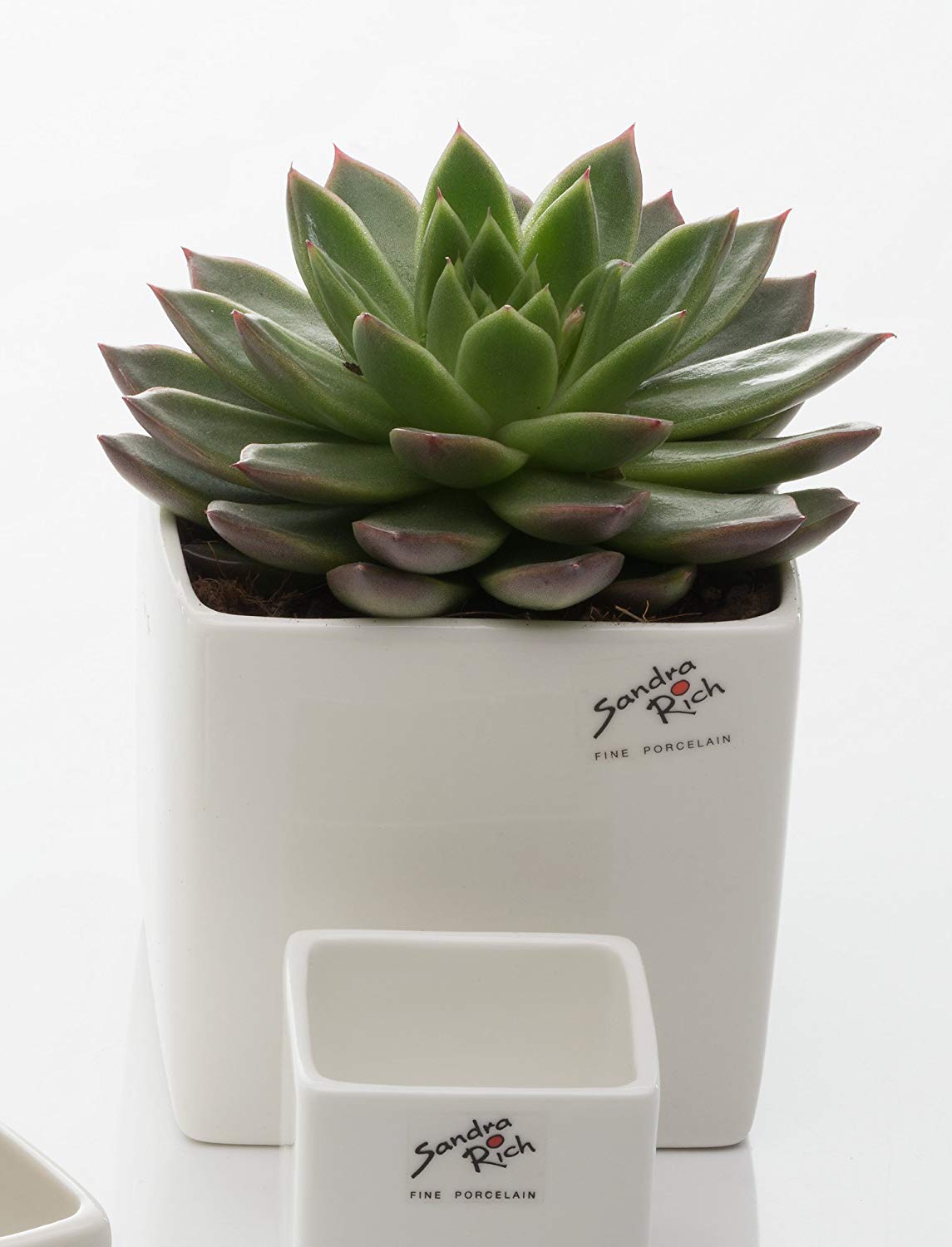 Sandra Rich Porcelain Vase Porcelain Vase Cube, 10 Cm