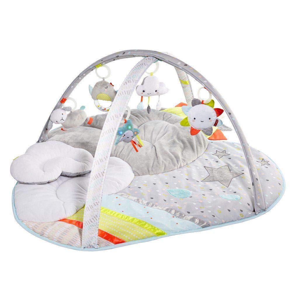 Skip Hop Activity Gym