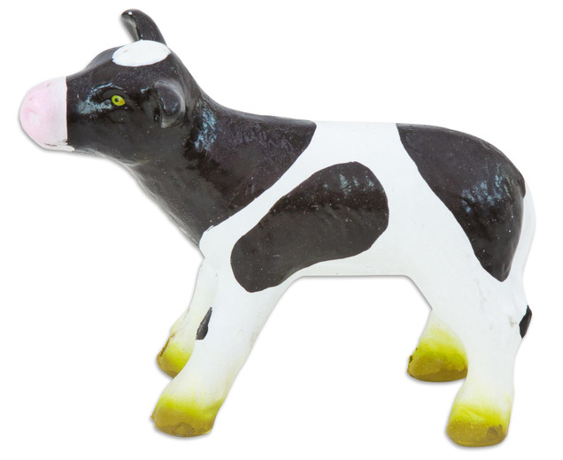 Betzold Calf