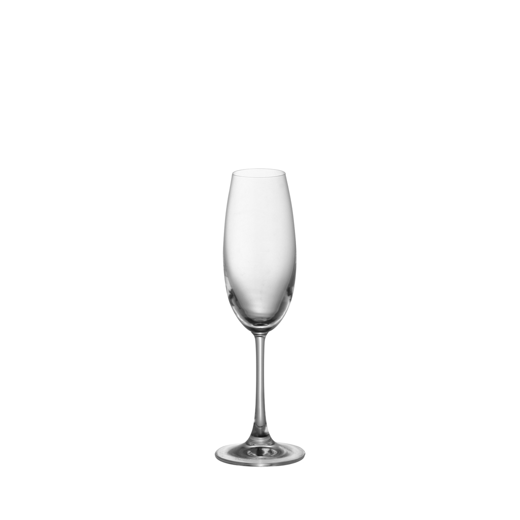 Thomas Porzellan Champagne DiVino Smooth Thomas Porcelain