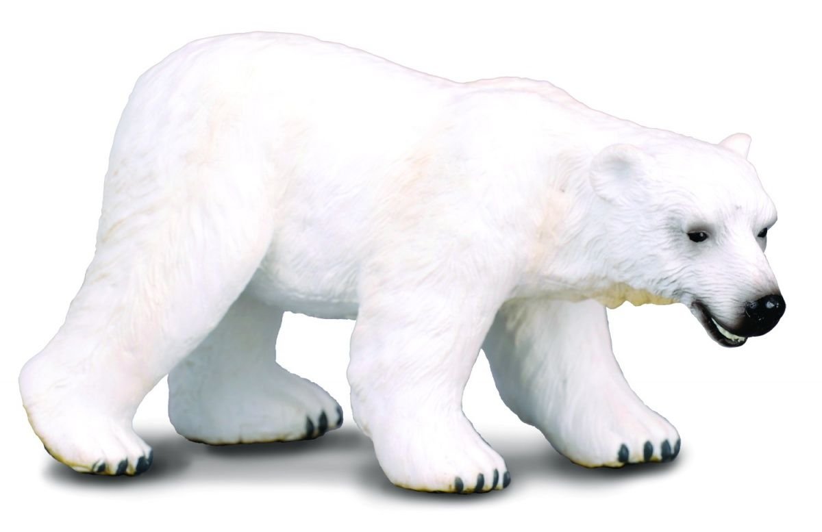 Collecta – 3388214 Figure – Wild Animals – Bear – White