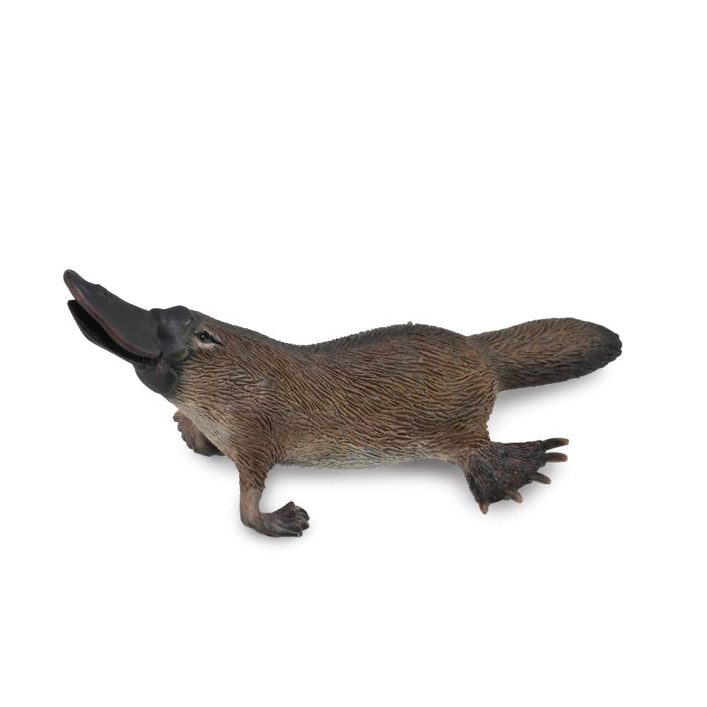 Collecta 88795 – Platypus