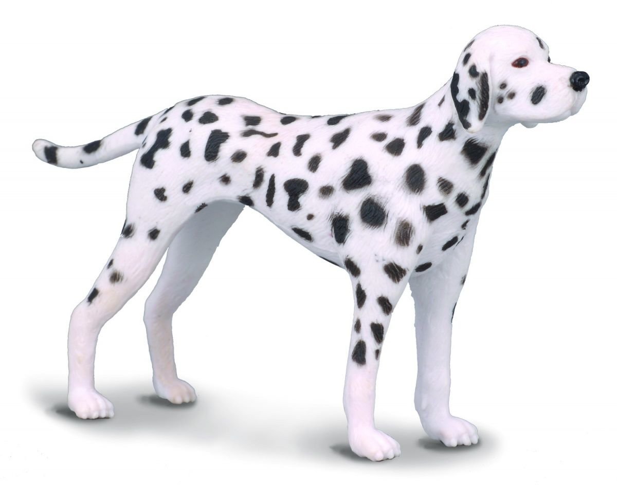 Collecta – Col88072 – Dalmation – Size M