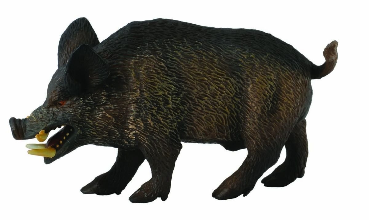 Collecta – Col88363 – Wild Pig – Medium