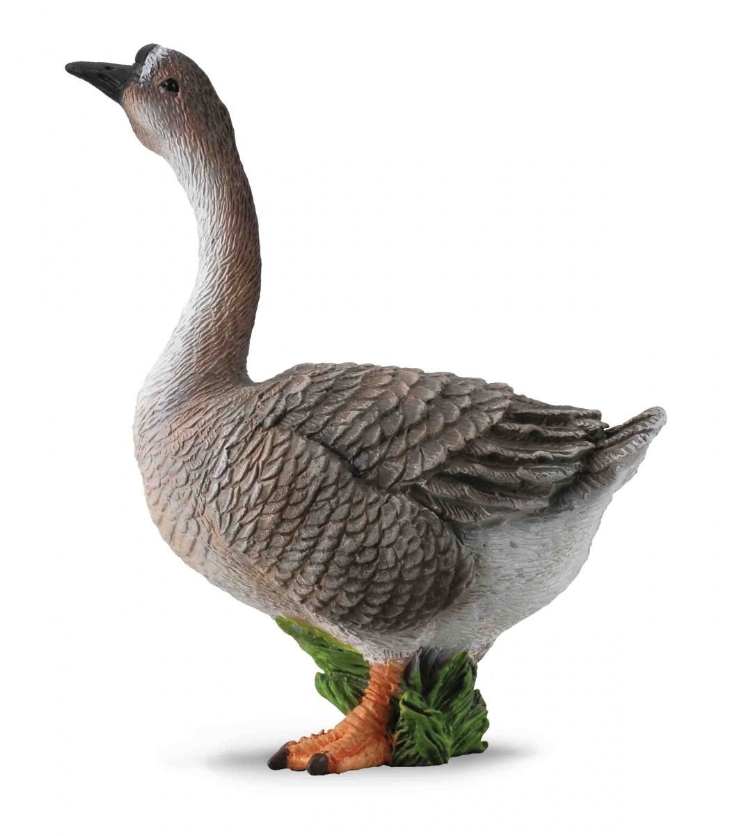 Collecta – Col88571 – Daisy – Medium