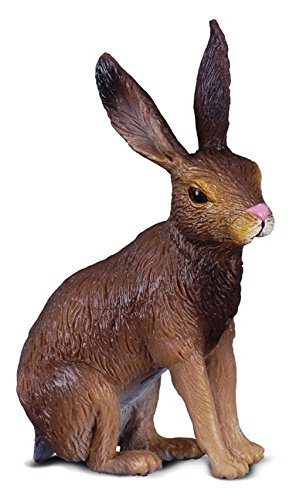 Collecta Hare