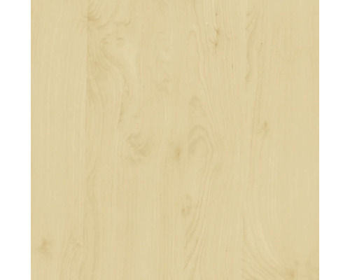 d-c-fix® adhesive film wood decor birch 67.5x200 cm