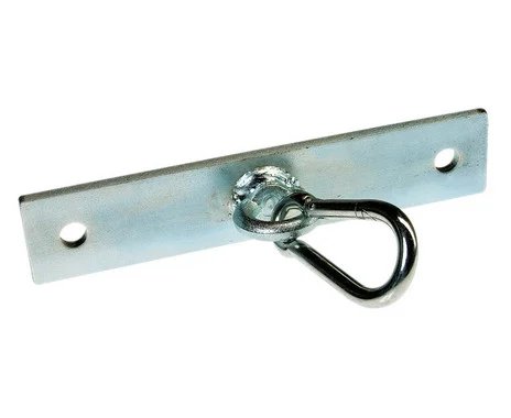 Ceiling mount