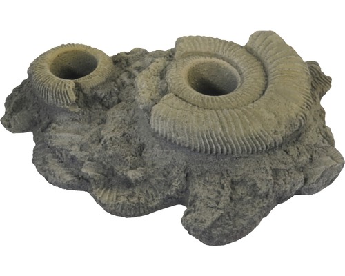 Decoration VARIOGART planting aid 12 fossils
