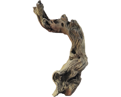 Decoration VARIOGART root long