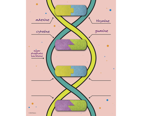 DNA kit