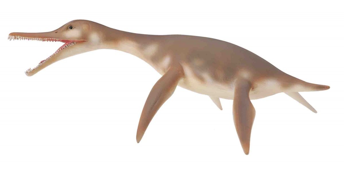 Collecta Dolichorhynchops Dinosaur