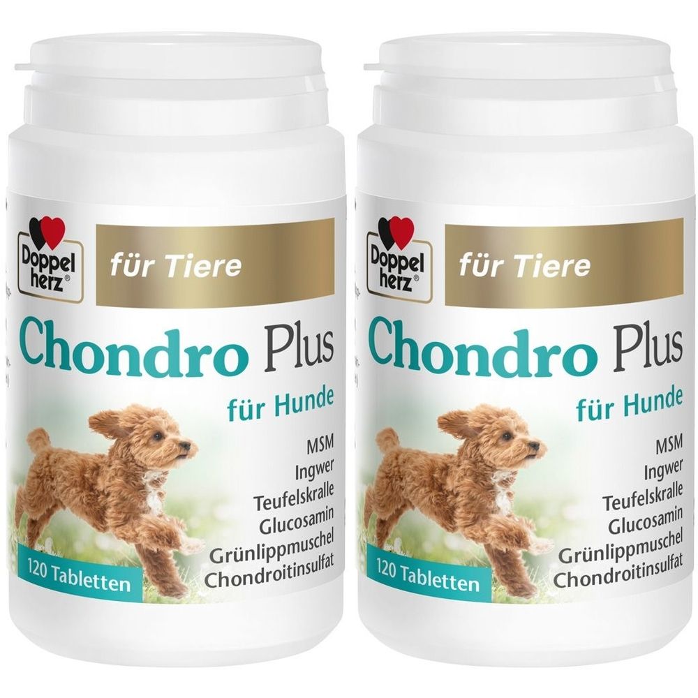 Doppelherz Chondro Plus for dogs, 240 tablets