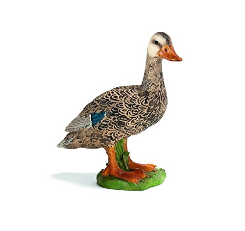 Goki Duck