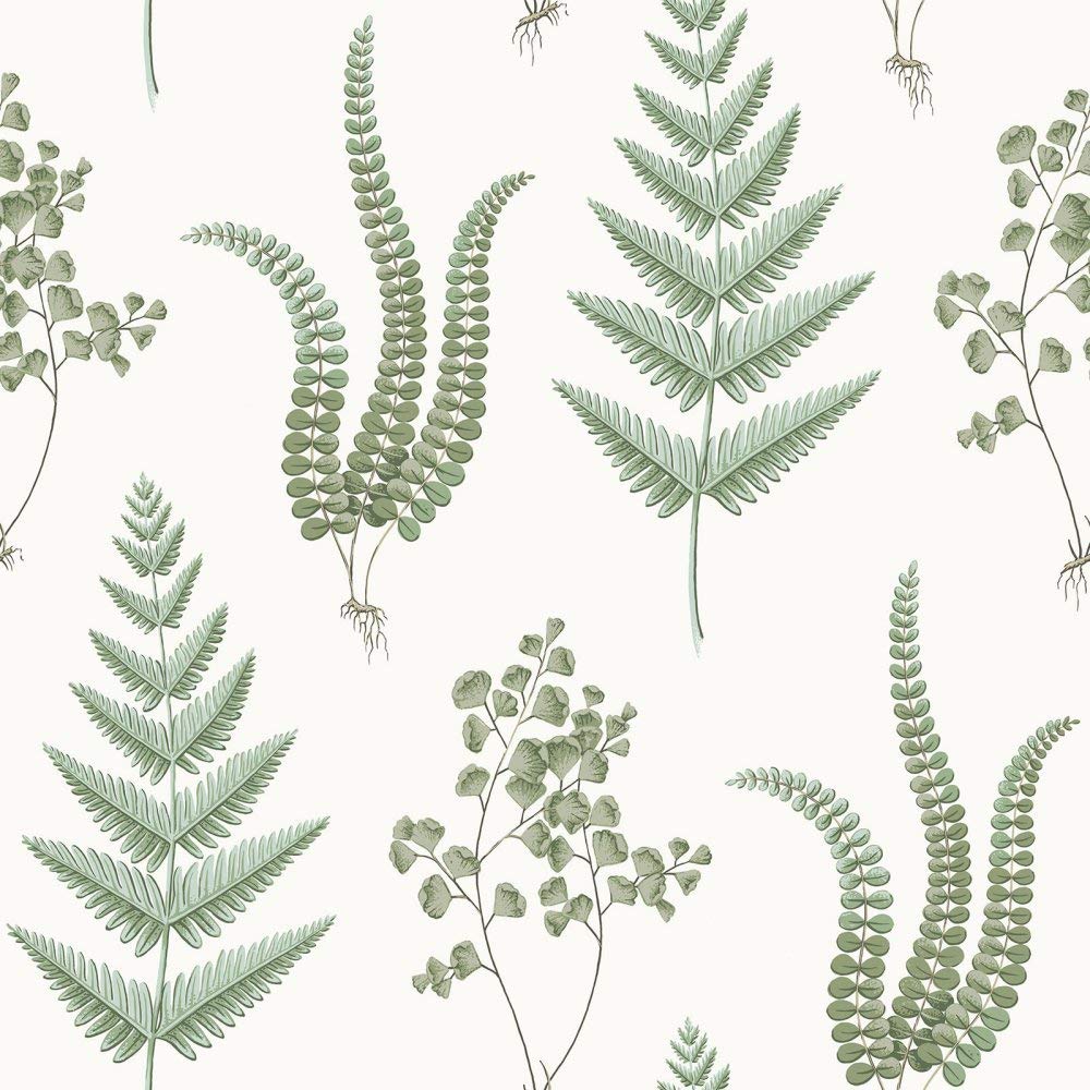 BorasTapeter Falsterbo II 4021 Non-Woven Wallpaper Herbarium Plants Fern Leaf Green and 