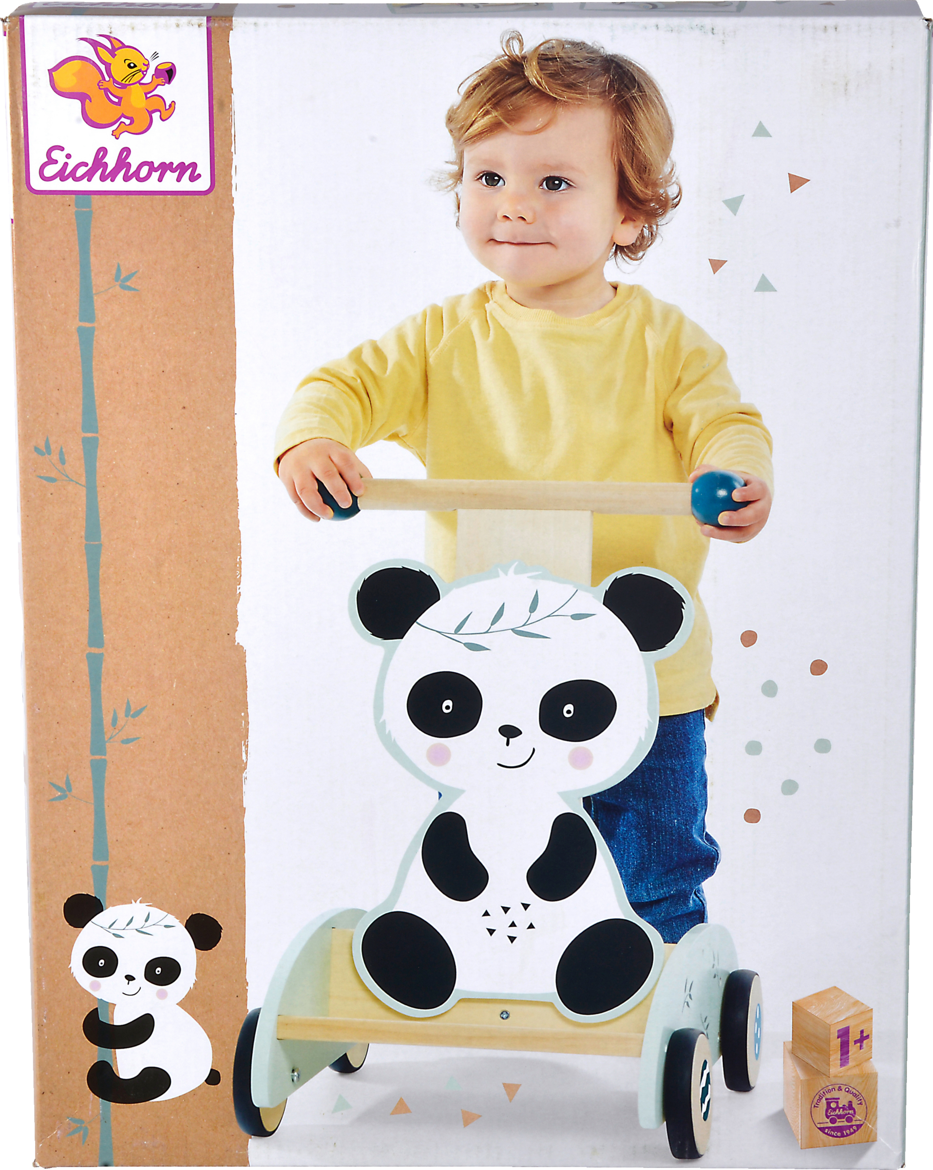 Eichhorn push walker