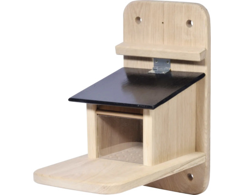 dobar Premium squirrel feeding station, oiled oak wood with feeding flap and acrylic glass pane, black roof, approx. 32 x 20 x 38.5 cm