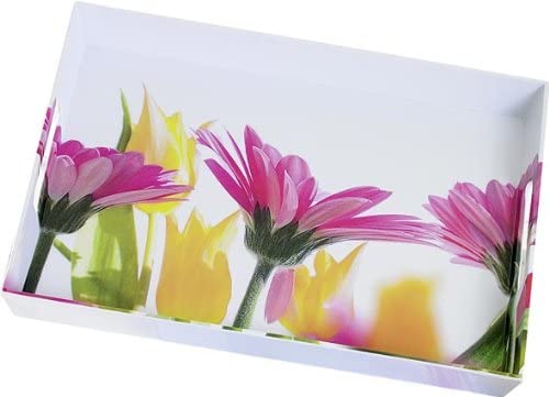 Emsa Classic Tray, 50 x 37 cm