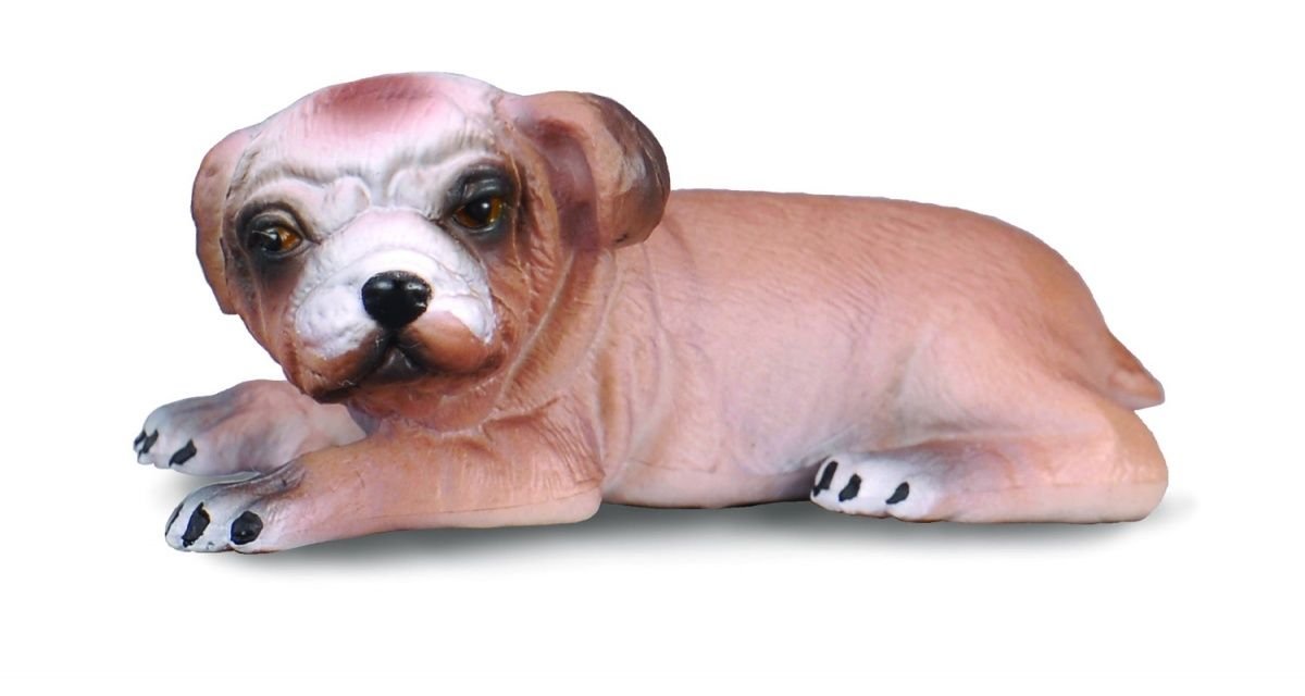 Collecta English Bulldogge Puppy A