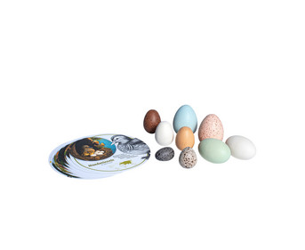 Erzi Bird Egg Discovery Set 570g