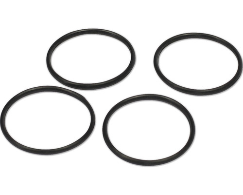 Spare part Dennerle Scaper's Flow backpack filter O-ring black