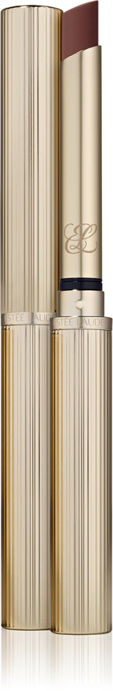 Estée Lauder Pure Color Explicit Mattifying Lipstick Farbton Smokescreen 1,8 g