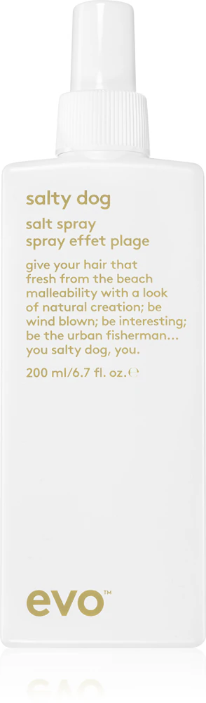 EVO Style Salty Dog salty spray for hair