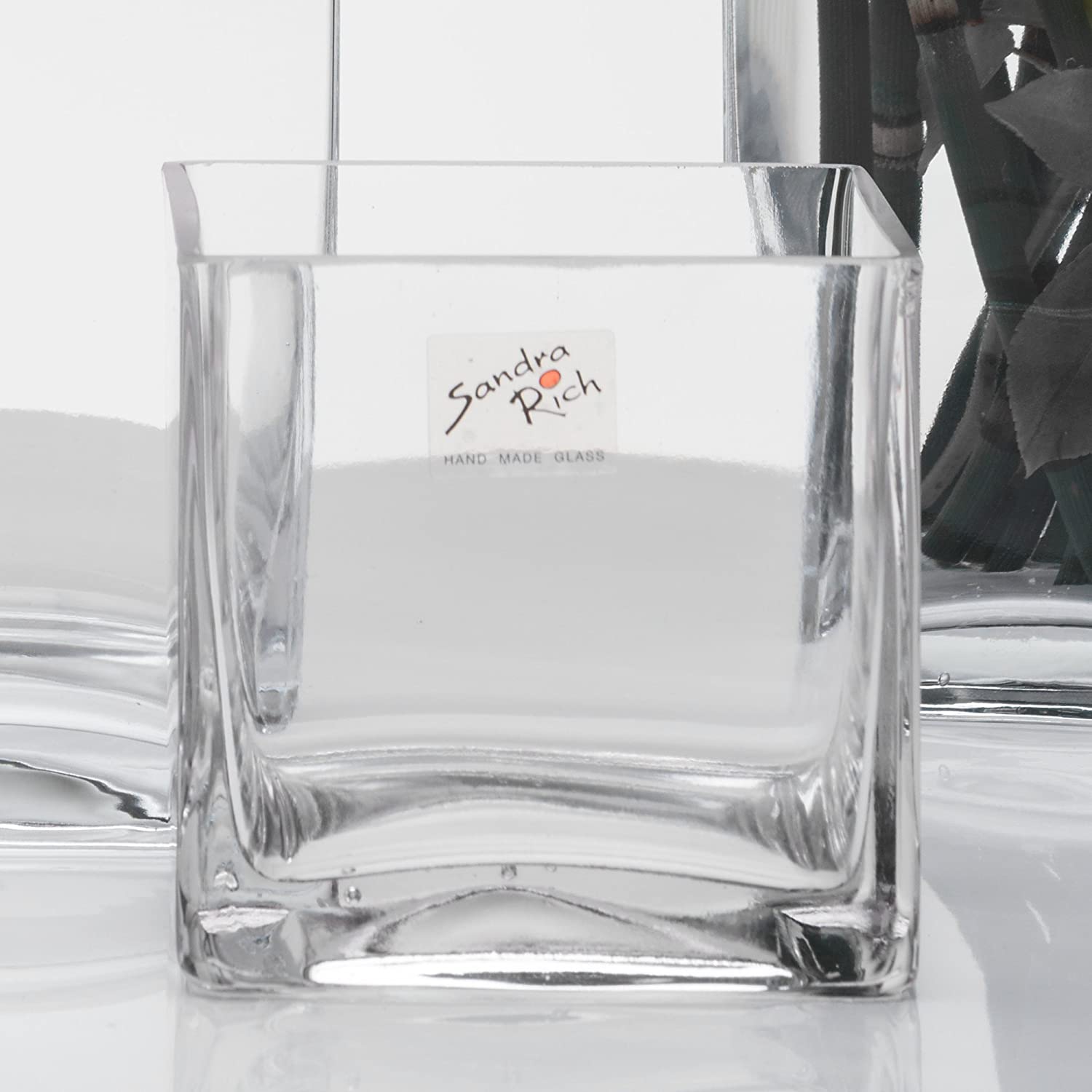 Sandra Rich Cube Glass Vase Square Flower Vase