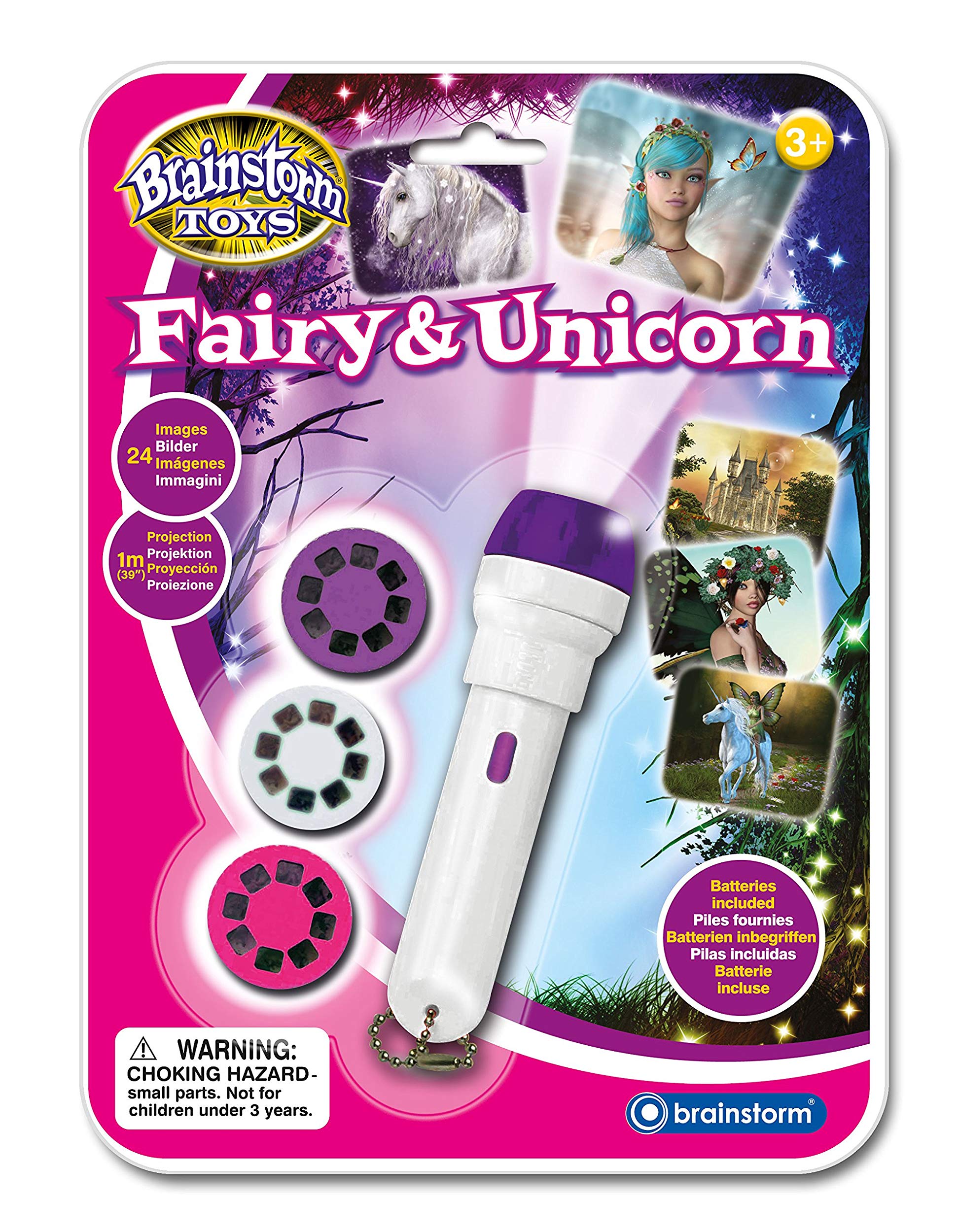 Brainstorm Fairy And Unicorn
