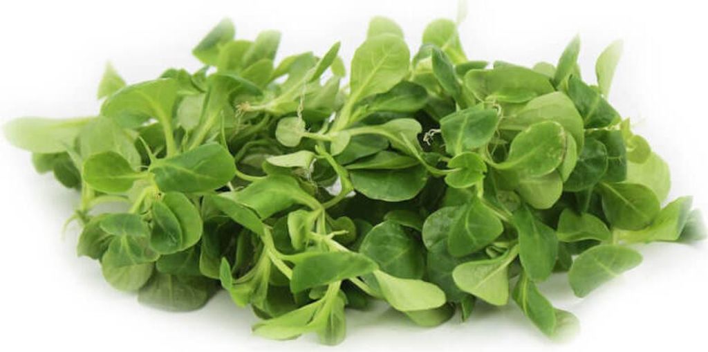 Biogo Fresh, unwashed lamb's lettuce (approx. 100 g)
