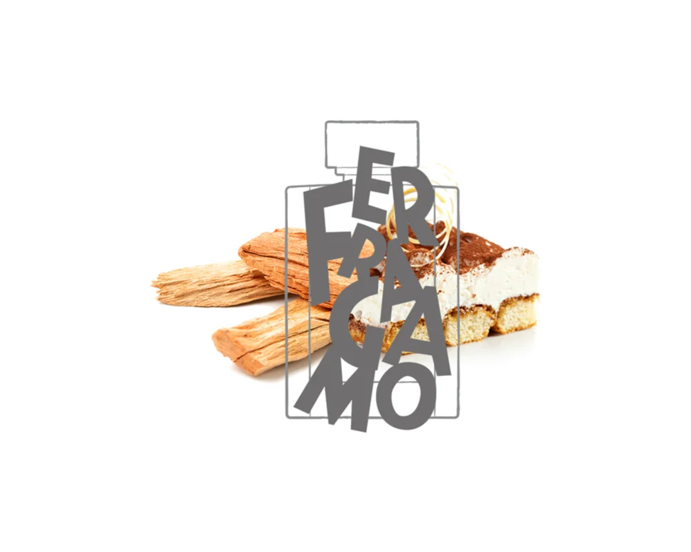 Ferragamo Uomo Eau de Toilette for men