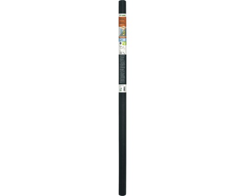 Windhager Fiberglass fly screen without drilling anthracite 120x600 cm