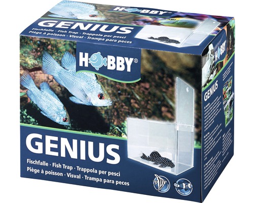 Fish trap HOBBY Genius 21x13x15 cm