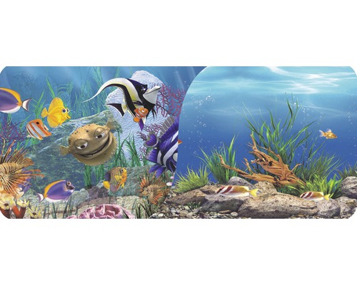 ORBIT Photo background motif 11 60x30 cm