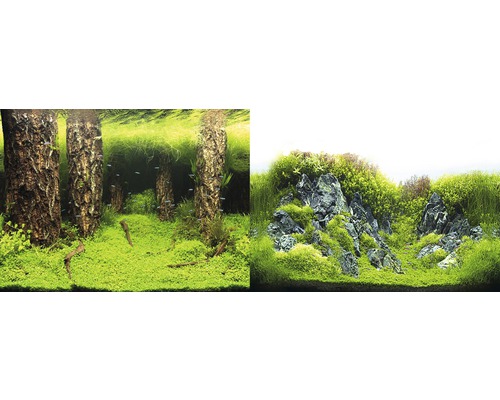 ORBIT Photo background motif 5 60x30 cm