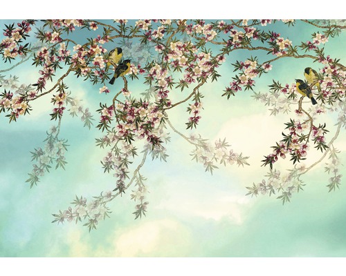 Komar Photo wallpaper paper 8-213 Sakura 8 pieces. 368x254cm