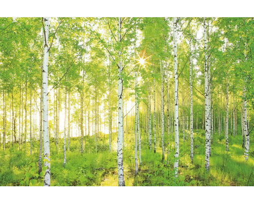Photo wallpaper paper 8-519 VOL 15 Sunday 8-piece set 368 x 254 cm