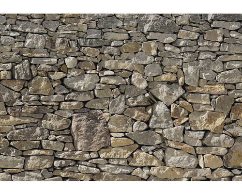 Komar Photo wallpaper paper 8-727 VOL 15 Stone Wall 8 pieces. 368x254cm