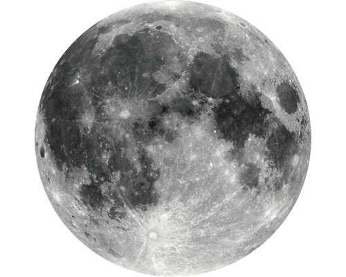 Komar Photo wallpaper self-adhesive D1-019 Dot Moon Ø 125 cm