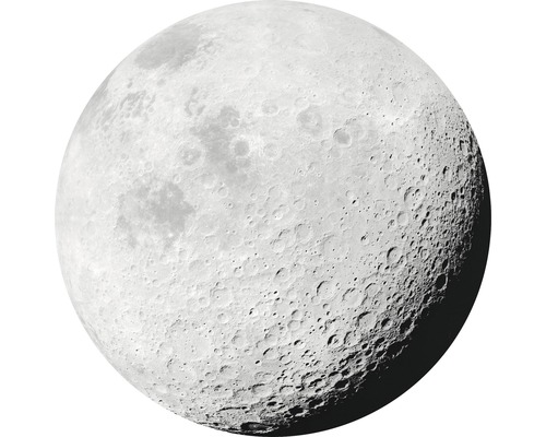 Komar Photo wallpaper self-adhesive D1-020 Dot Luna Ø 125 cm