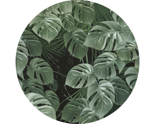 Komar Photo wallpaper self-adhesive D1-023 Dot Novel Monstera Ø 125 cm