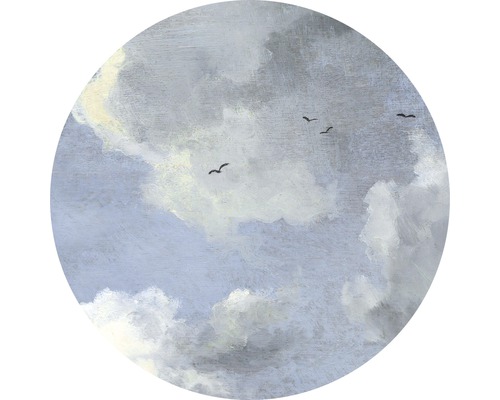 Komar Photo wallpaper self-adhesive D1-037 Dot Simply Sky Ø 125 cm