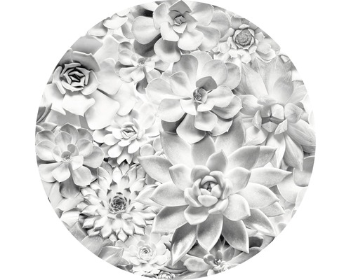Komar Photo wallpaper self-adhesive D1-046 Dot Echeveria Ø 125 cm