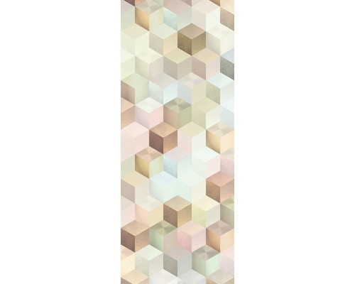 Komar Photo wallpaper non-woven 6016A-VD1 Cubes Panel 1-piece. 100x250cm